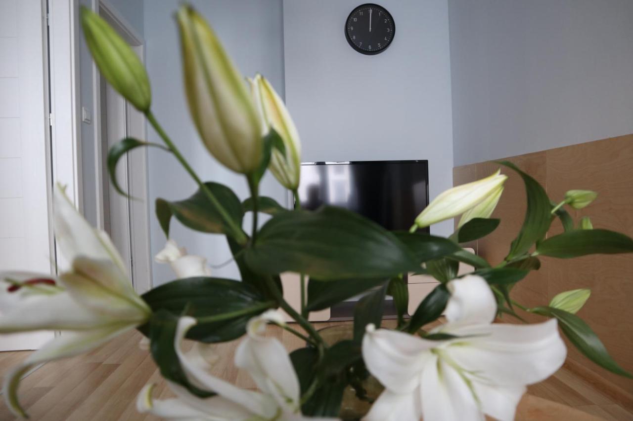 One More Night Apartment, Poznan Old Town Extérieur photo
